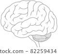 Illustration of the side of the professional cerebrum gray 82259434