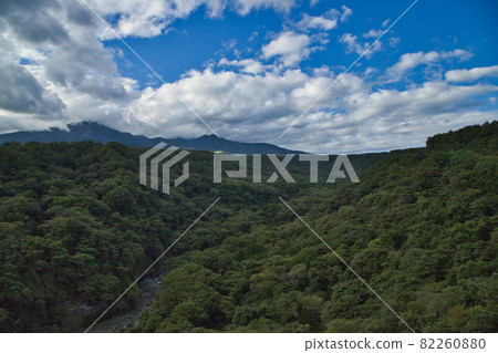 Kiyosato Kogen Kiyosato Kogen 82260880