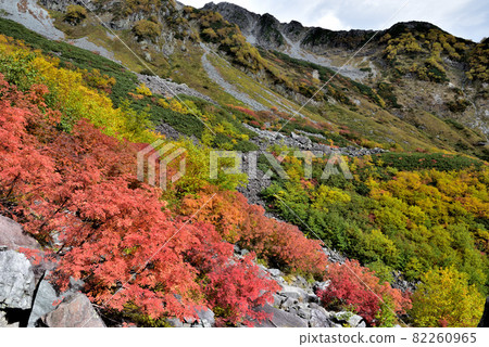 Superb view autumn leaves Road to Karasawa, Northern Alps of Kinshu Superb view autumn leaves Road to Karasawa, Northern Alps of Kinshu 82260965