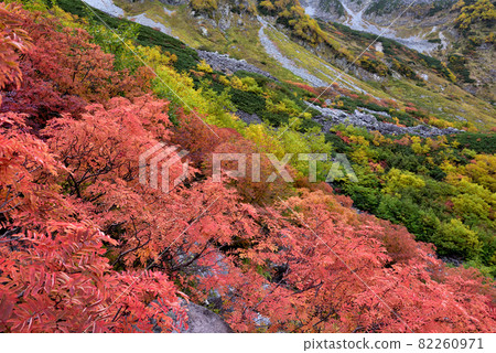 Superb view autumn leaves Road to Karasawa, Northern Alps of Kinshu 82260971