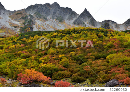 Superb view autumn leaves Road to Karasawa, Northern Alps of Kinshu Superb view autumn leaves Road to Karasawa, Northern Alps of Kinshu 82260980