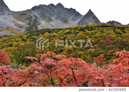 金州北阿爾卑斯山烏澤路絕景秋葉 82260989
