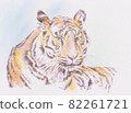 Colored pencil drawing tiger 82261721