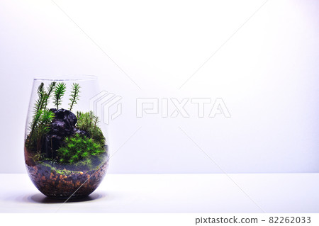 青苔玻璃容器 青苔玻璃容器 82262033