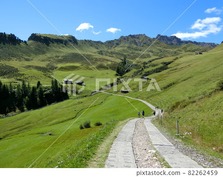 意大利白雲巖地區的 Alpe di Ciusi 意大利白雲巖地區的 Alpe di Ciusi 82262459