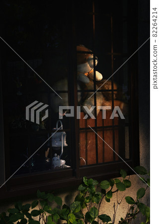 呵呵~ 呵呵~ 82264214