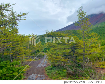 Mt. Fuji walking path 1 Mt. Fuji walking path 1 82264941
