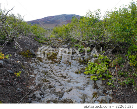 Mt. Fuji lava flow 1 82265185