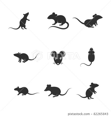 Rat cute Vector icon design illustration Rat cute Vector icon design illustration 82265843