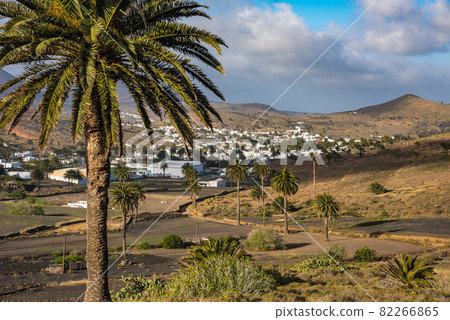 small town La Haria. Lanzarote. Canary Islands. Spain small town La Haria. Lanzarote. Canary Islands. Spain 82266865