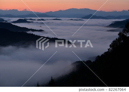野坂川村的雲海 野坂川村的雲海 82267064