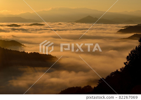 野坂川村的雲海 82267069