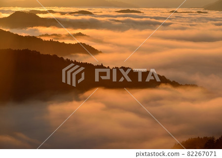 野坂川村的雲海 82267071