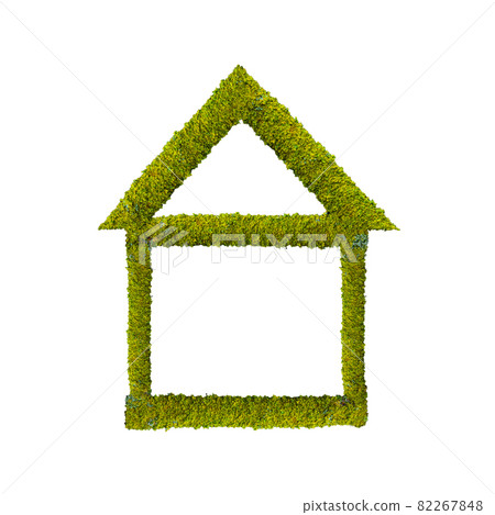 Colorfully green mossed and lichened wet forest tree symbolic house isolated at white background. Concept of ecofriendly sustainable living. Colorfully green mossed and lichened wet forest tree symbolic house isolated at white background. Concept of ecofriendly sustainable living. 82267848