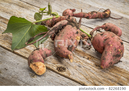 sweet potato freshly harvested sweet potato freshly harvested 82268190
