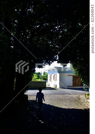 Okinawa Prefecture Fukugi tunnel and silhouette of a toddler ① Okinawa Prefecture Fukugi tunnel and silhouette of a toddler ① 82269043
