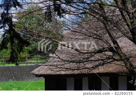 Thatched roof of an old folk house 82269155