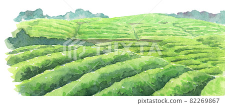 水彩茶園 水彩茶園 82269867