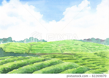 Watercolor tea plantation postcard template 3 Watercolor tea plantation postcard template 3 82269870