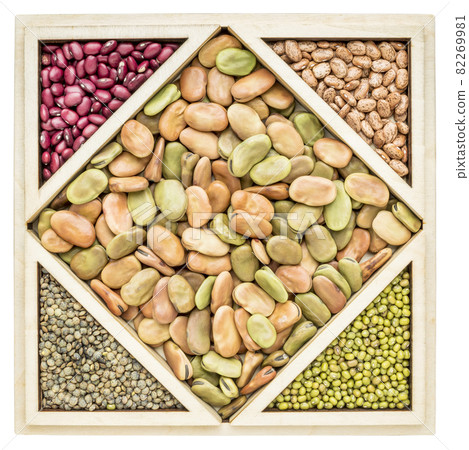 fava bean tangram abstract 82269981