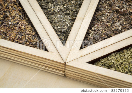 four seaweeds abstract four seaweeds abstract 82270553