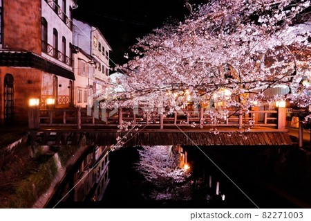 城崎夜櫻樹 82271003