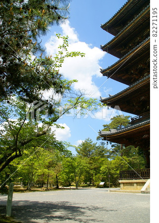 Ninna-ji,五層寶塔 Ninna-ji,五層寶塔 82271195