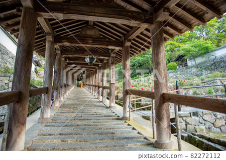 Peony flowers and priests blooming next to the corridor of Hase-dera Temple in Sakurai City, Nara Prefecture Peony flowers and priests blooming next to the corridor of Hase-dera Temple in Sakurai City, Nara Prefecture 82272112