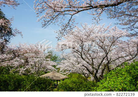 法神公園 82272139