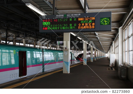 Tohoku Shinkansen E5 series stopped at Kitakami Station 82273860