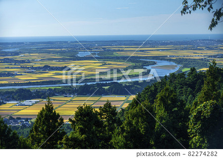 秋天的莊內平原 82274282