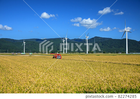 收穫時間 收穫時間 82274285