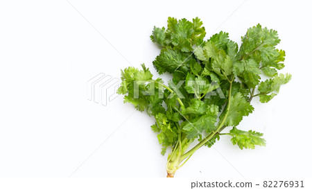 Fresh coriander leaves on white background. Fresh coriander leaves on white background. 82276931