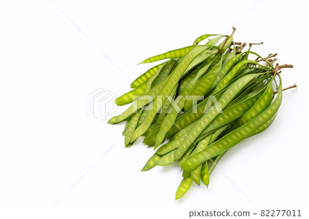 Young fruit of Leucaena leucocepphala on white background. Young fruit of Leucaena leucocepphala on white background. 82277011