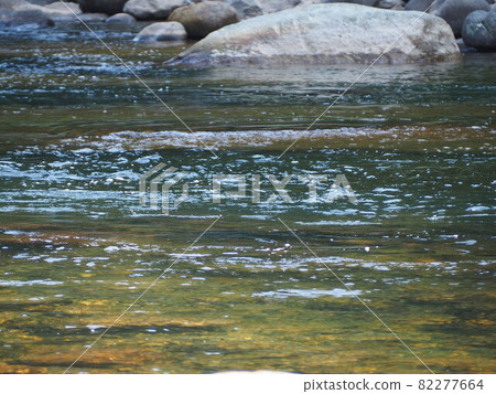 Nagara River, Gifu Prefecture 82277664
