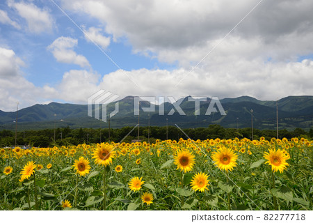 I went to Nasu Heartful Farm # 41 82277718