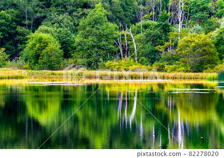 Nagano Prefecture Togakushi Summer Mirror Pond Nagano Prefecture Togakushi Summer Mirror Pond 82278020