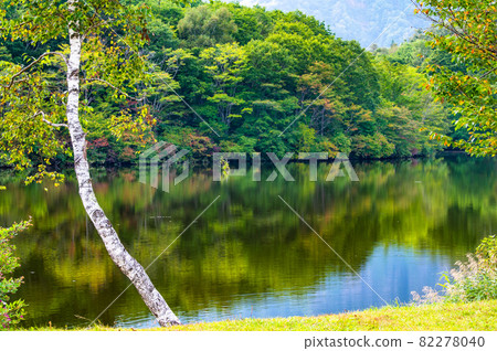 Nagano Prefecture Togakushi Summer Mirror Pond 82278040