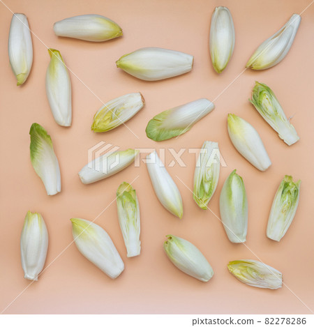 many raw endives salad roots or chicory on orange background, top view many raw endives salad roots or chicory on orange background, top view 82278286