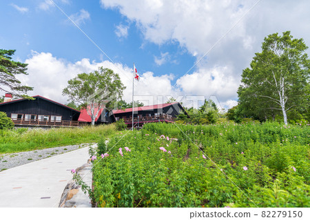 "Yamanashi Prefecture" Summer Kiyosato / Seisen-ryo 82279150