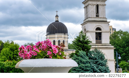 Flowerpot with pink flowers in the center of Chisinau, Moldova 82279277