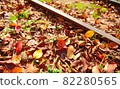 Autumn Tsugaru Peninsula Tsugaru Railway Ashino Park 82280565