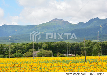 我去了那須心之農場#75 82280954