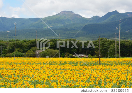 我去了那須心之農場#74 我去了那須心之農場#74 82280955