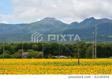 我去了那須心之農場#73 82280956