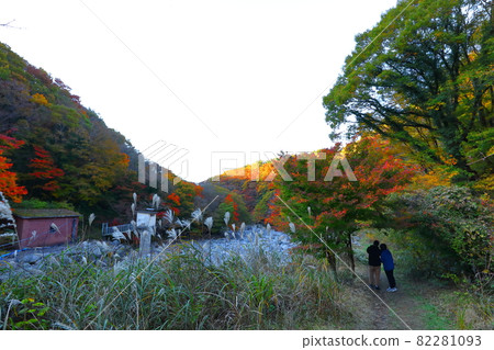 Cheonya Valley, Maple Leaves, Autumn, Hallasan, Valley, Mountain Valley, Jeju, Attractions, Points of Interest, Recommended, Cheonya Valley, Maple Leaves, Autumn, Hallasan, Valley, Mountain Valley, Jeju, Attractions, Points of Interest, Recommended, 82281093