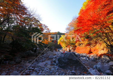 Cheonya Valley, Maple Leaves, Autumn, Hallasan, Valley, Mountain Valley, Jeju, Attractions, Points of Interest, Recommended, Cheonya Valley, Maple Leaves, Autumn, Hallasan, Valley, Mountain Valley, Jeju, Attractions, Points of Interest, Recommended, 82281132