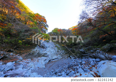 Cheonya Valley, Maple Leaves, Autumn, Hallasan, Valley, Mountain Valley, Jeju, Attractions, Points of Interest, Recommended, Cheonya Valley, Maple Leaves, Autumn, Hallasan, Valley, Mountain Valley, Jeju, Attractions, Points of Interest, Recommended, 82281142