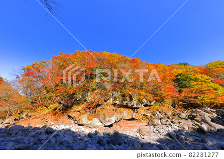 Cheonya Valley, Halla Mountain, Autumn, Maple Leaves, Valley, Mountain Valley, Attractions, Travel, Tourist Attractions, Climbing, In the Forest, 82281277