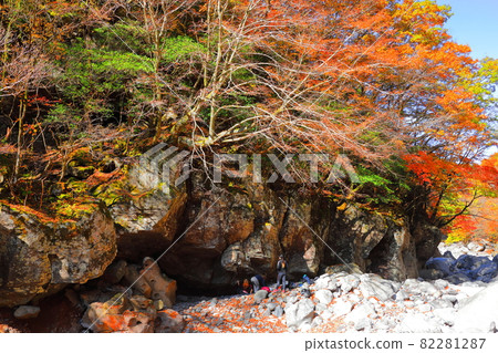 Cheonya Valley, 漢拏山, 秋天, 楓葉, 山谷, 山谷, 景點, 旅遊, 旅遊景點, 登山, 在森林裡, Cheonya Valley, 漢拏山, 秋天, 楓葉, 山谷, 山谷, 景點, 旅遊, 旅遊景點, 登山, 在森林裡, 82281287